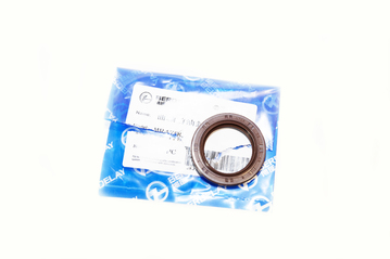 ������� �������� �������� BERDELAY Geely CK2 (���� ��2) E040110005-BER